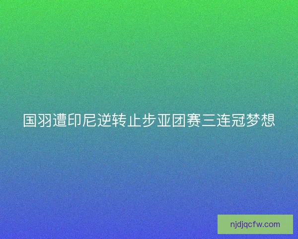 国羽遭印尼逆转止步亚团赛三连冠梦想