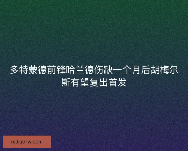 多特蒙德前锋哈兰德伤缺一个月后胡梅尔斯有望复出首发